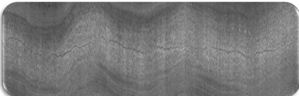 精質長材軋制表面檢測系統